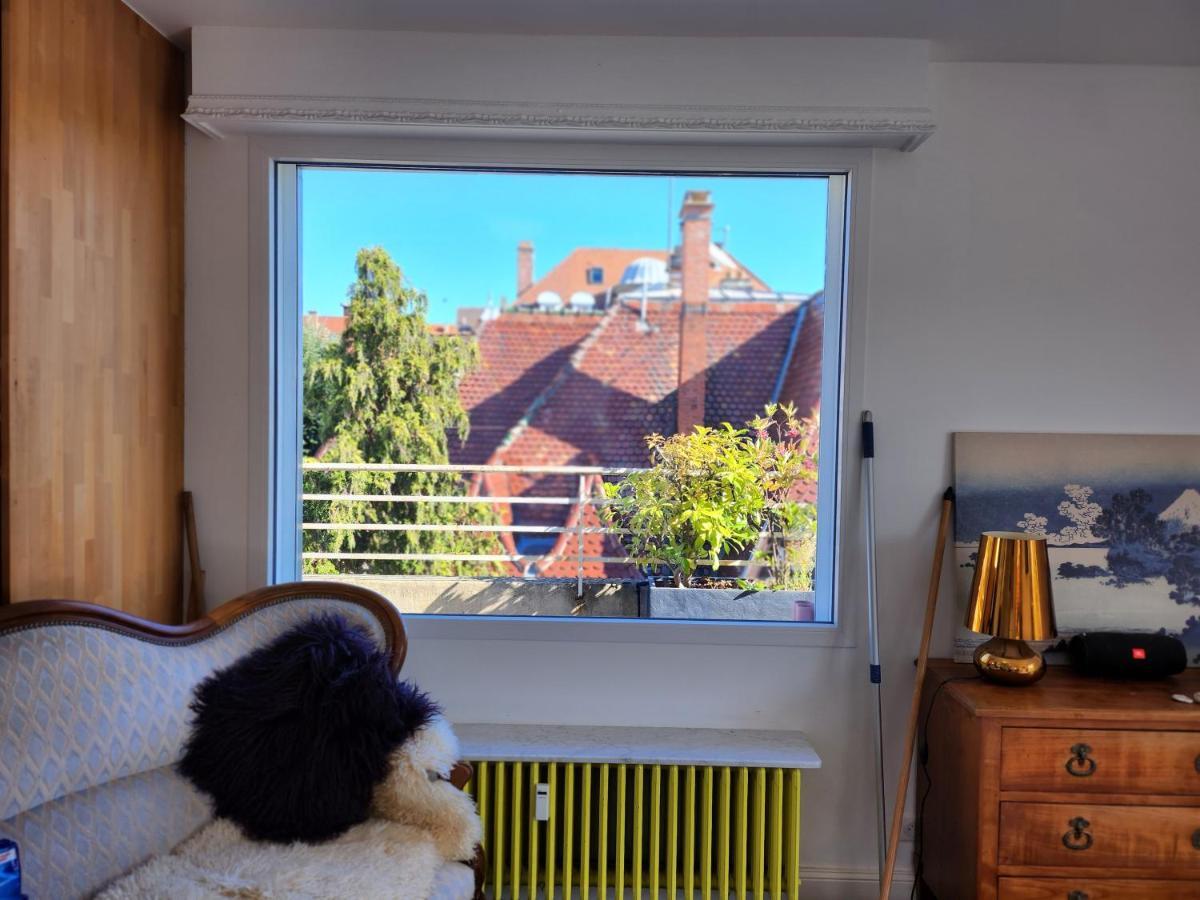 L'Orangerie Apartment Strasbourg Ngoại thất bức ảnh