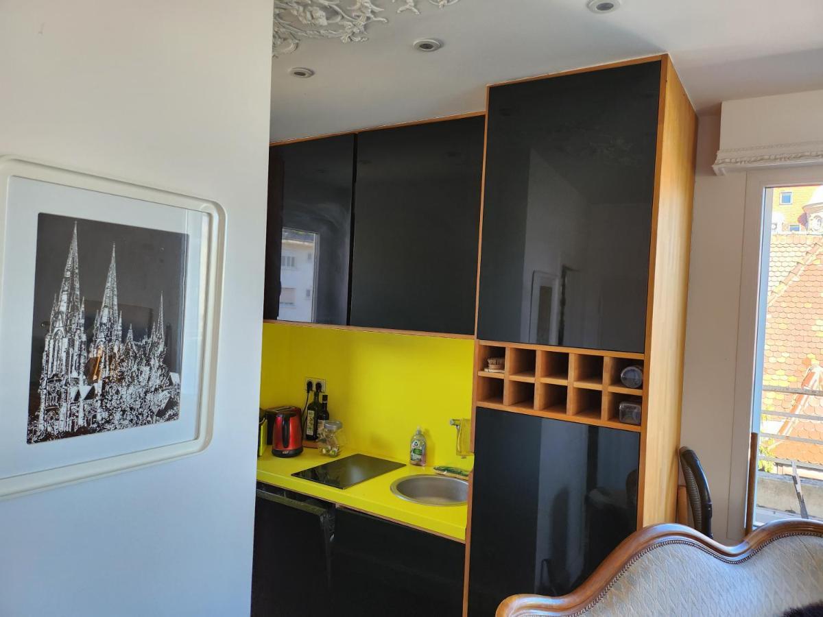 L'Orangerie Apartment Strasbourg Ngoại thất bức ảnh